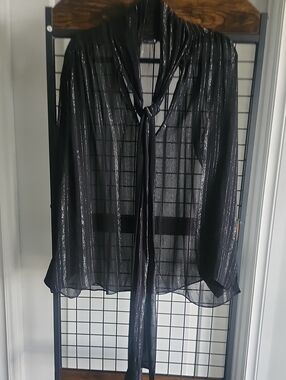 Zara Sheer Black Metallic-Striped Tie-Neck Blouse